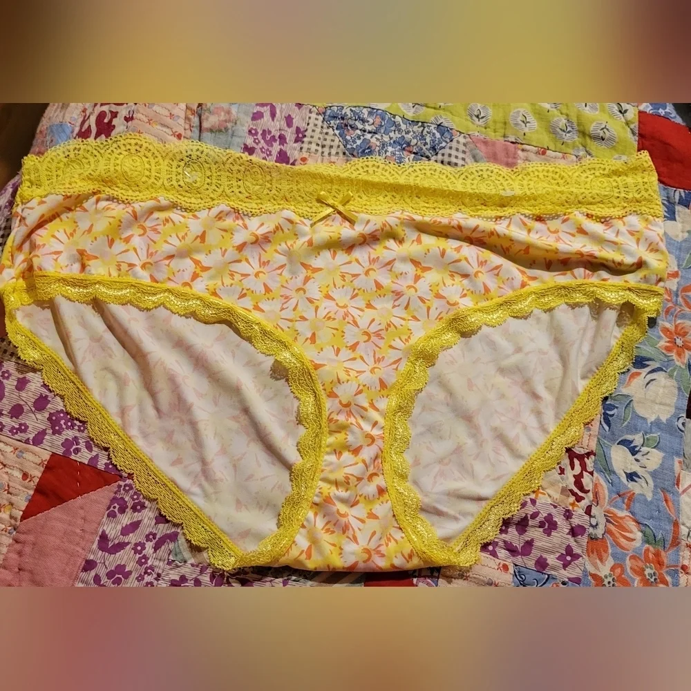 Pure Beauty 2X Set of 2 Panties NEW